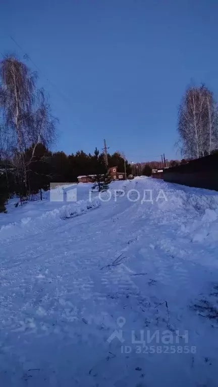 Участок в Новосибирская область, Ордынский район, Локомотив Ордынский ... - Фото 2