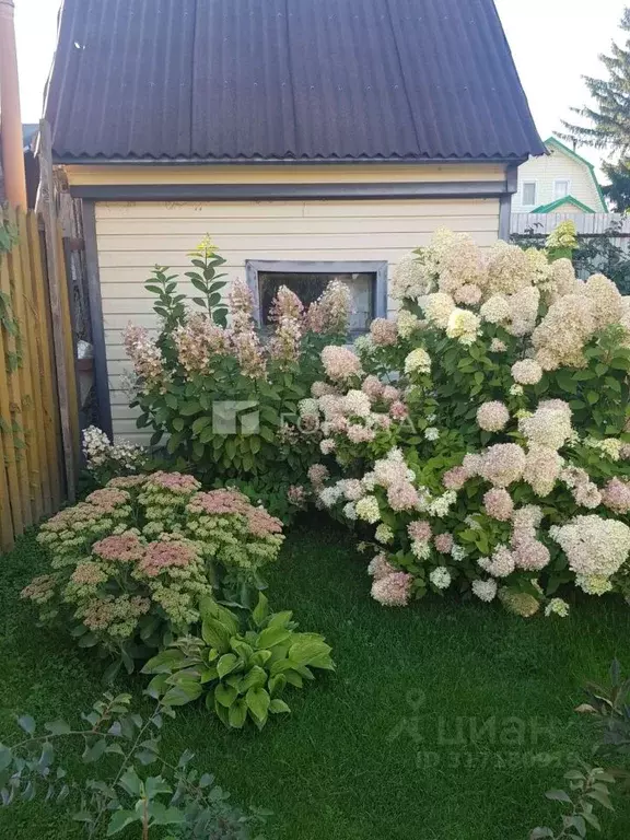Дом в Новосибирская область, Новосибирский район, Кудряшовский ... - Фото 0