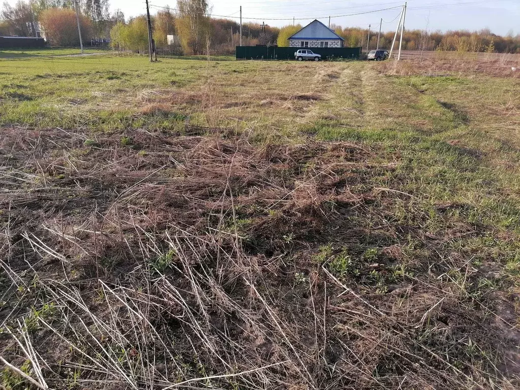 Участок в Нижегородская область, Городецкий муниципальный округ, д. ... - Фото 1