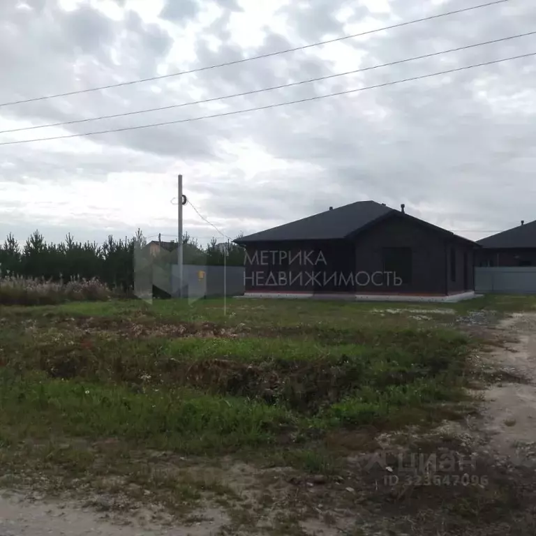 Участок в Тюменская область, Тюменский муниципальный округ, с. Гусево  ... - Фото 1