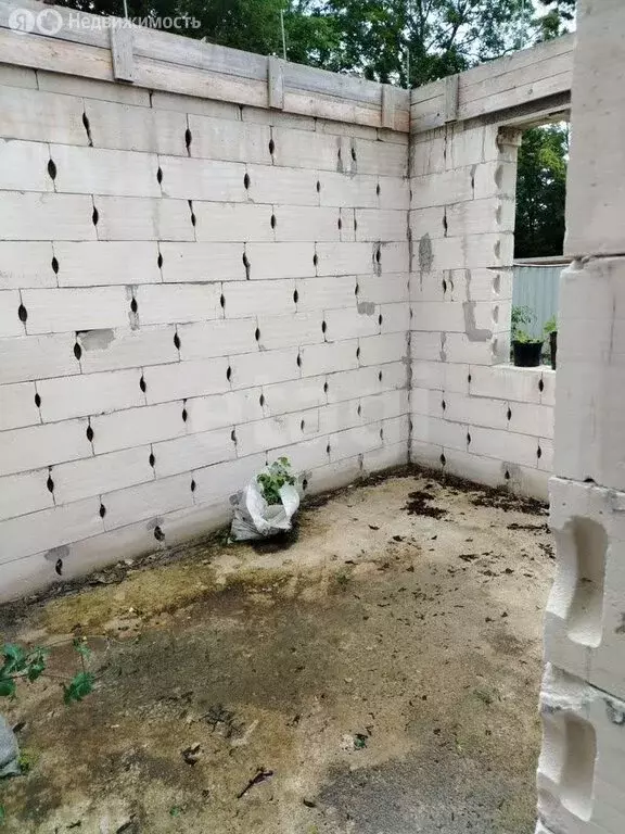 Участок в Калининградская область, Приморск (9 м) - Фото 1