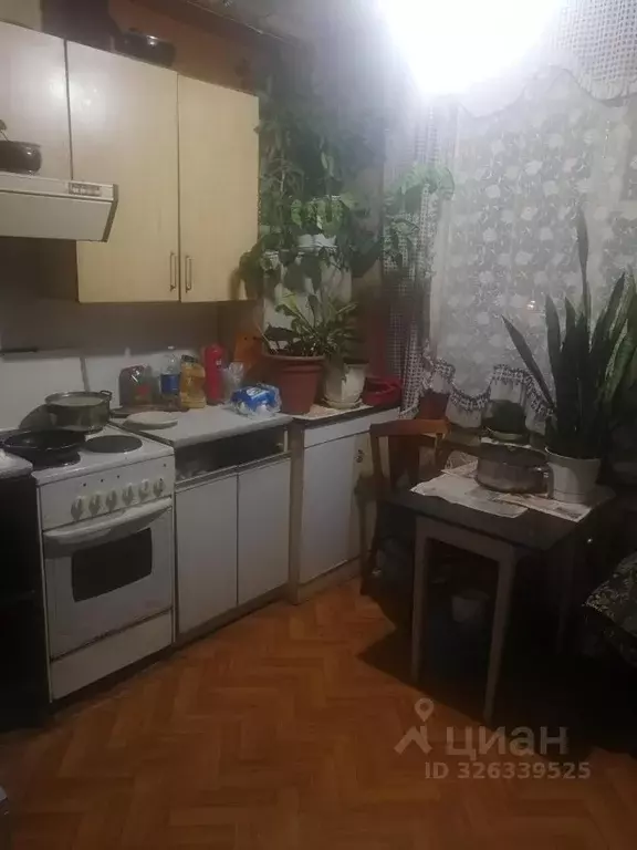 Комната Новосибирская область, Новосибирск Академгородок мкр, ул. ... - Фото 2