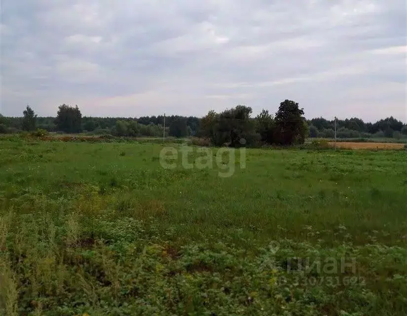 Участок в Вологодская область, Верховажский муниципальный округ, д. ... - Фото 2