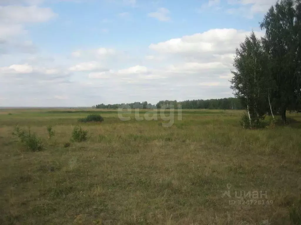 Участок в Челябинская область, Увельский муниципальный округ, ... - Фото 1