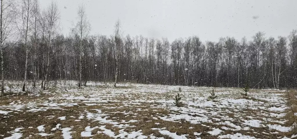 Участок в Московская область, Луховицы муниципальный округ, д. Берхино ... - Фото 0