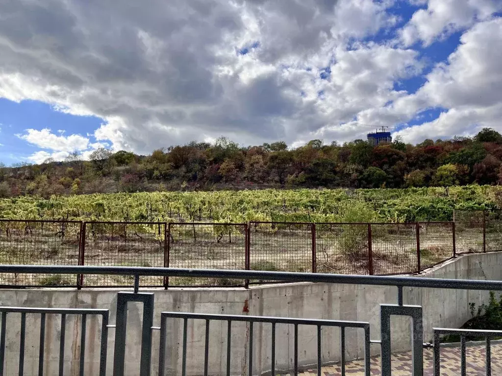 Студия Крым, Ялта муниципальный округ, Ливадия пгт ул. Виноградная, ... - Фото 2