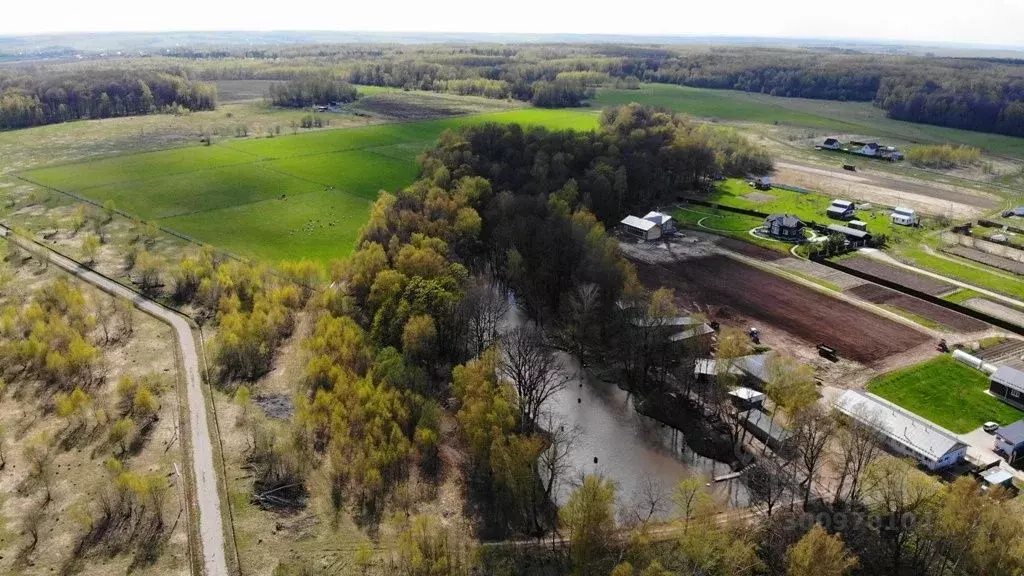 Участок в Тульская область, Заокский район, Демидовское с/пос, д. ... - Фото 2