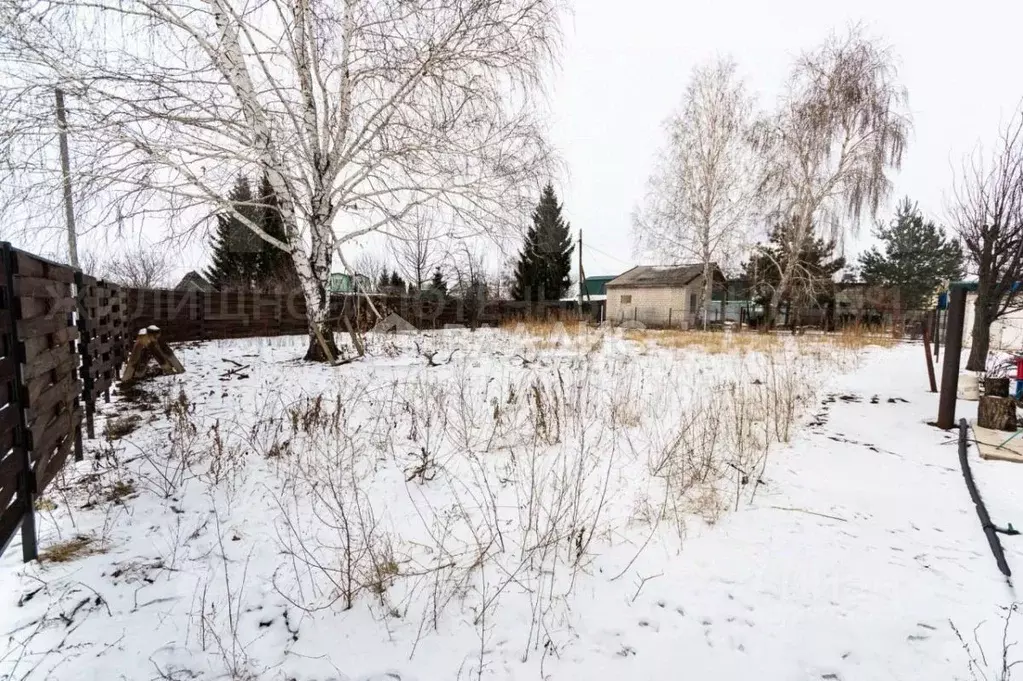 Участок в Саратовская область, Балаковский район, Натальинское ... - Фото 0