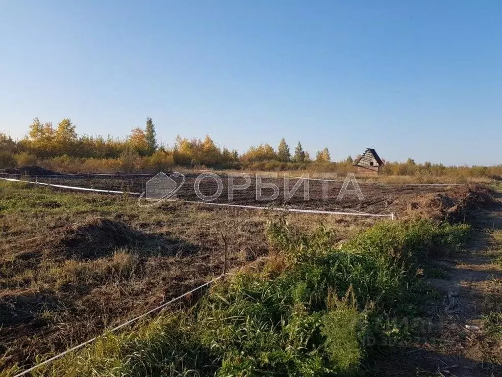 Участок в Тюменская область, Тюмень Большое Царево-1 ТСН,  (10.0 сот.) - Фото 1