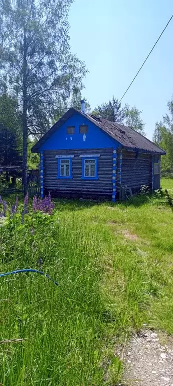 Дом в Новгородская область, Новгородский район, Ермолинское с/пос, ... - Фото 0