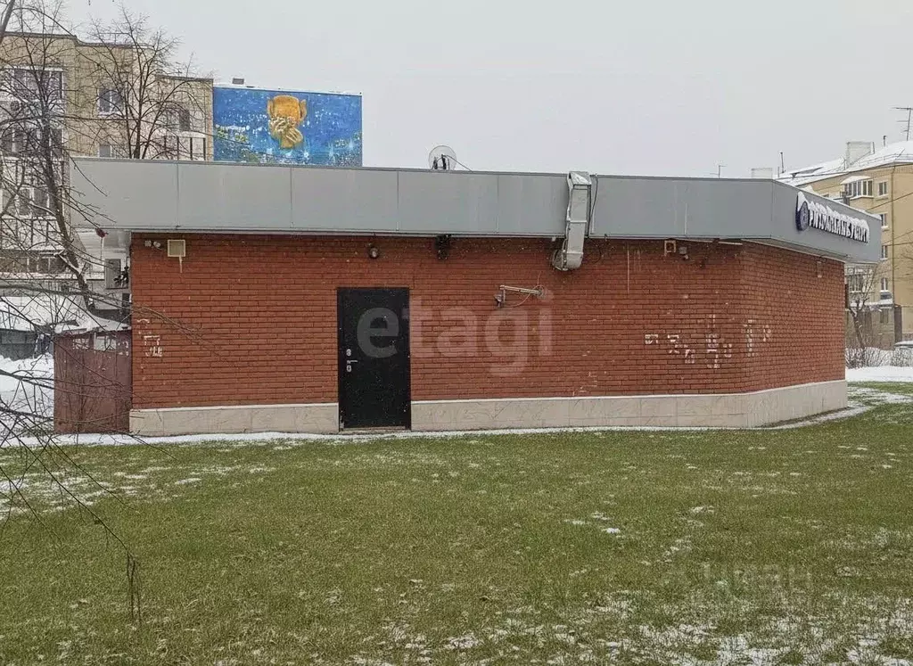 Помещение свободного назначения в Татарстан, Казань просп. Ибрагимова, ... - Фото 1