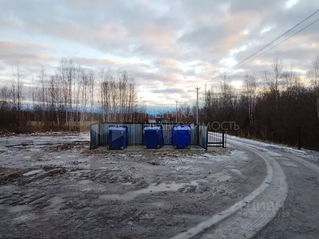 Участок в Тюменская область, Нижнетавдинский муниципальный округ, ... - Фото 1