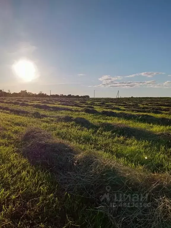 Участок в Чувашия, Чебоксарский муниципальный округ, д. Хорамакасы  ... - Фото 0