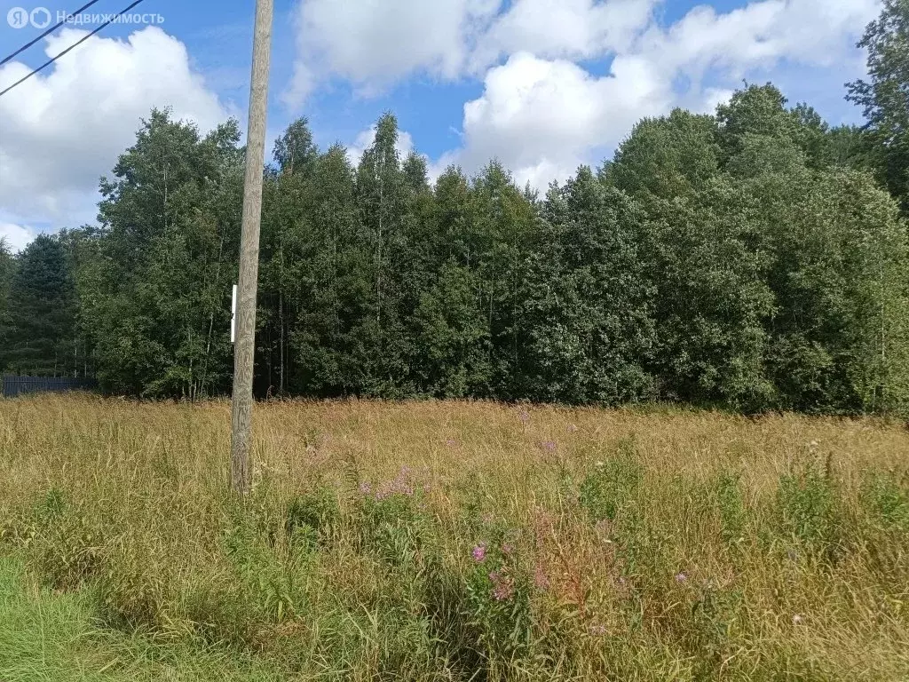 Участок в Выборгский район, Советское городское поселение, посёлок ... - Фото 2