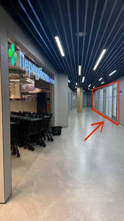 Торговая площадь в Москва Мичуринский просп., 13Ас1 (130 м) - Фото 1