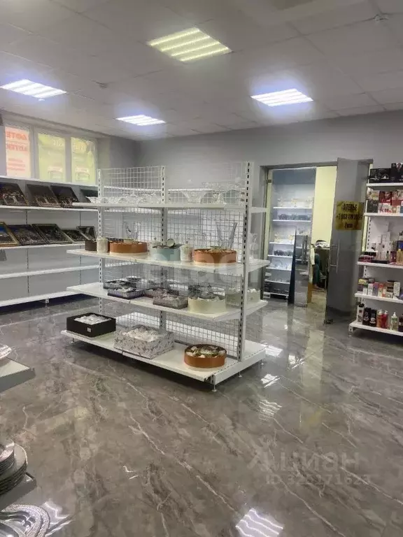 Помещение свободного назначения в Северная Осетия, Владикавказ ул. ... - Фото 1