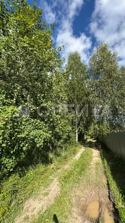 Участок в Тюменская область, Нижнетавдинский район, Сундукуль СНТ  ... - Фото 1