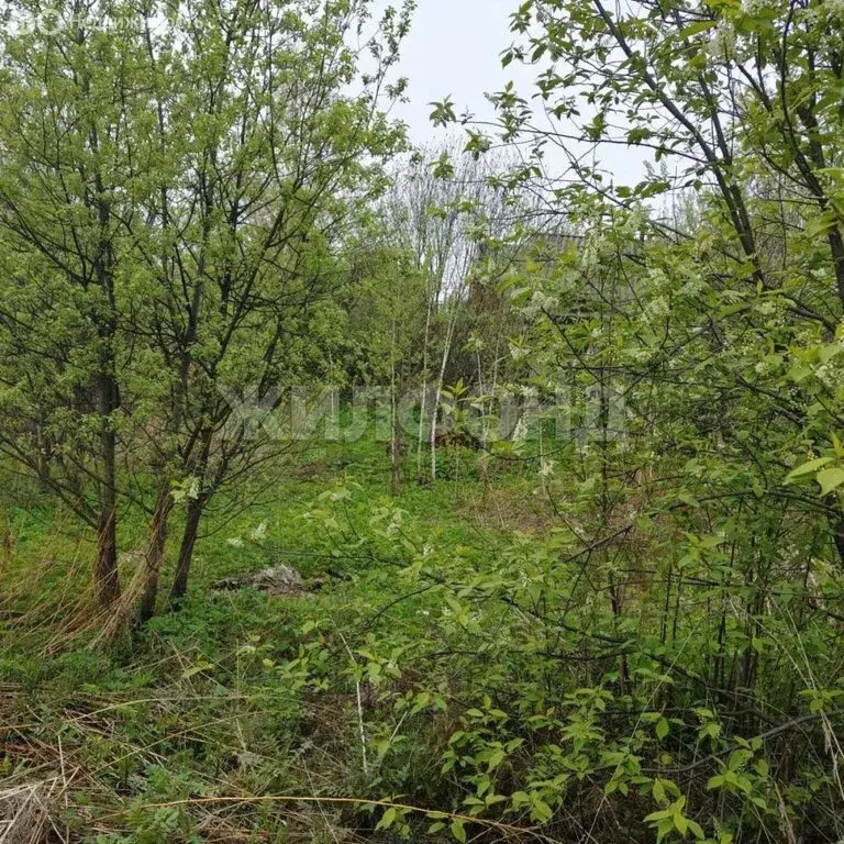 Участок в Томск, садовое товарищество Геолог-1 (6.9 м) - Фото 1