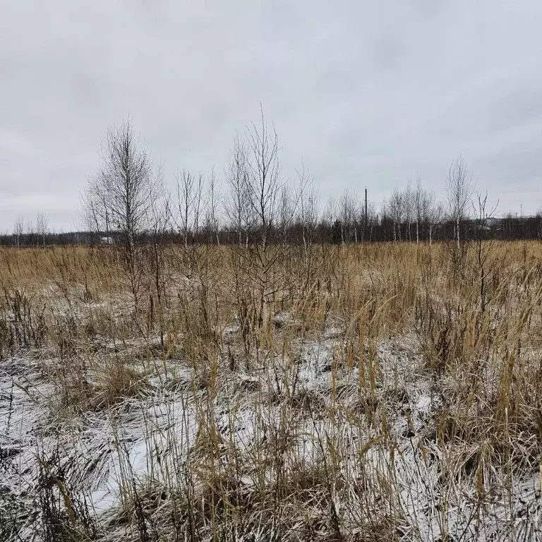 Участок в Московская область, Луховицы муниципальный округ, пос. ... - Фото 0