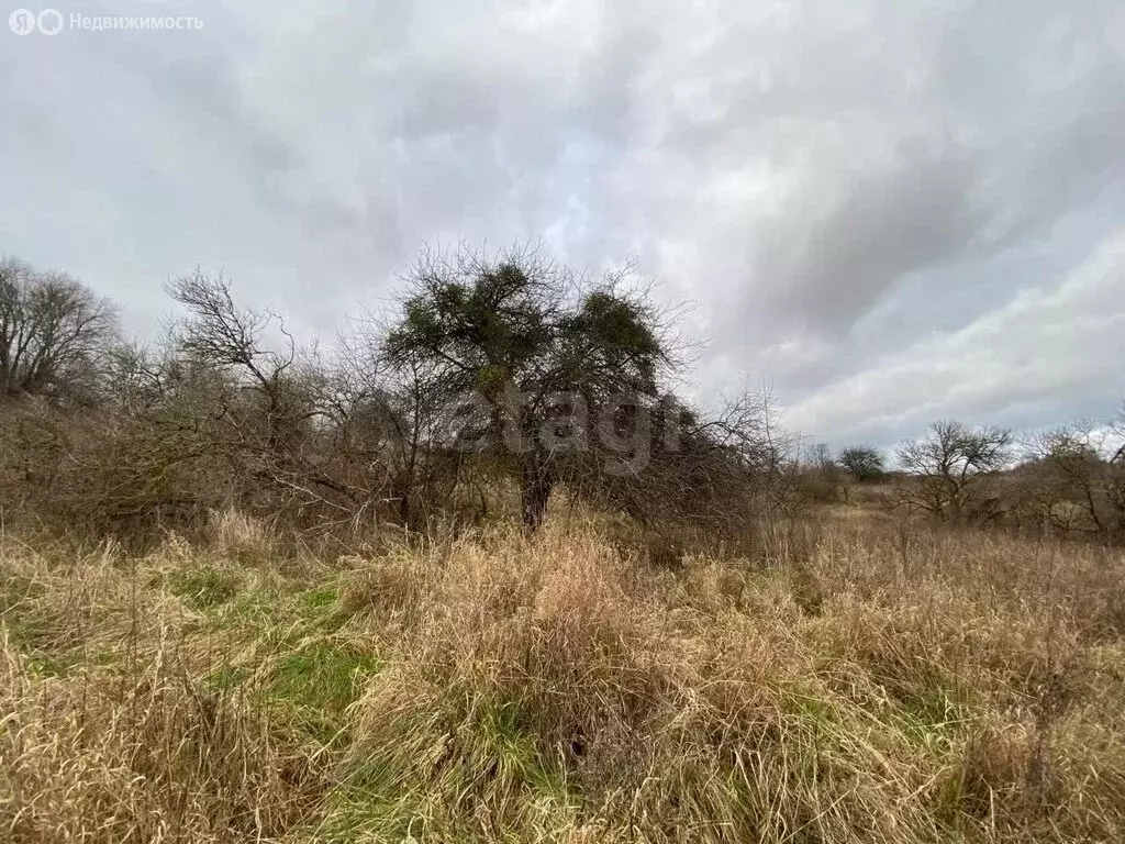 Участок в Калининградская область, Зеленоградск (6.48 м) - Фото 2