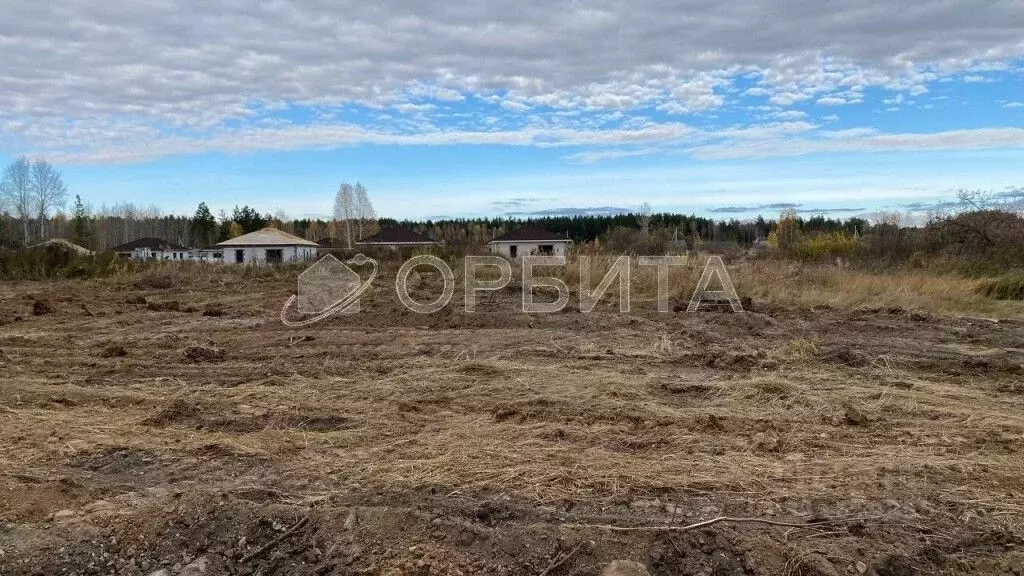 Участок в Тюменская область, Нижнетавдинский район, с. Тюнево  (6.0 ... - Фото 1