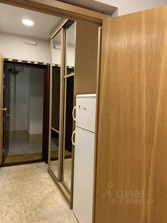 Студия Санкт-Петербург просп. Энтузиастов, 31к3 (28.0 м) - Фото 2