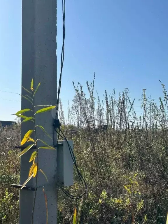 Участок в Новосибирская область, Искитимский район, Мичуринский ... - Фото 1