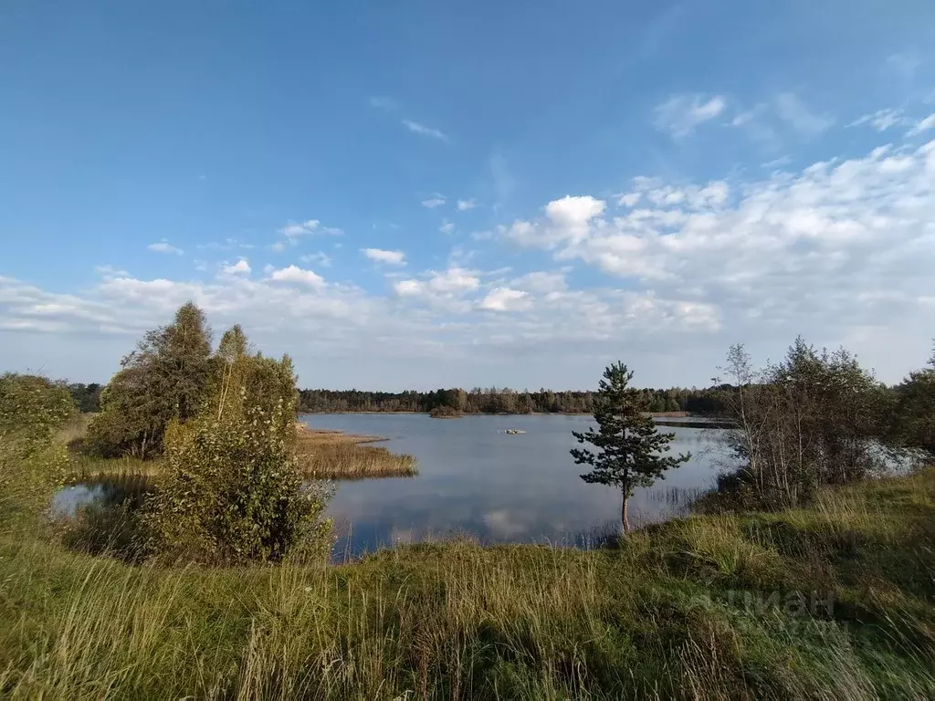 Участок в Ленинградская область, Волосовский район, Сабское с/пос, д. ... - Фото 0