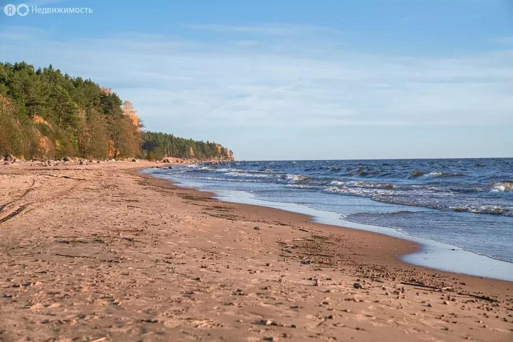 Участок в Выборгский район, Полянское сельское поселение, КП Уют у ... - Фото 1