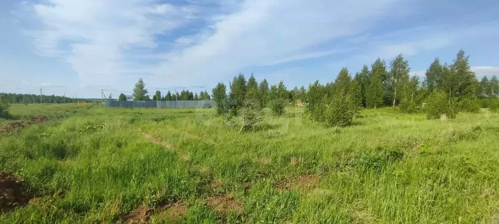 Участок в Марий Эл, Йошкар-Ола городской округ, д. Шоя-Кузнецово ул. ... - Фото 0