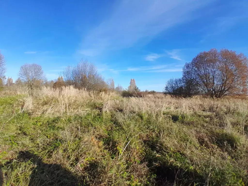 Участок в Псковская область, Псковский район, Логозовская волость, д. ... - Фото 1
