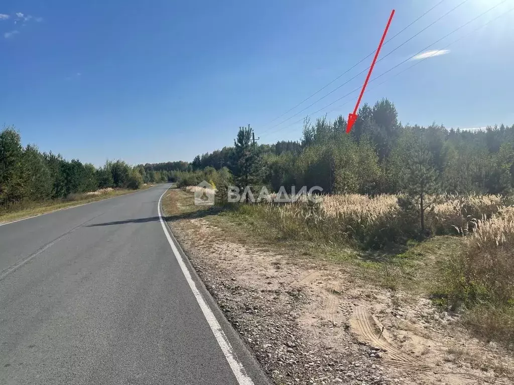 Участок в Владимирская область, Судогодский район, Лавровское ... - Фото 2