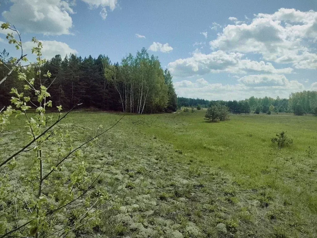 Участок в Нижегородская область, Навашинский муниципальный округ, с. ... - Фото 0