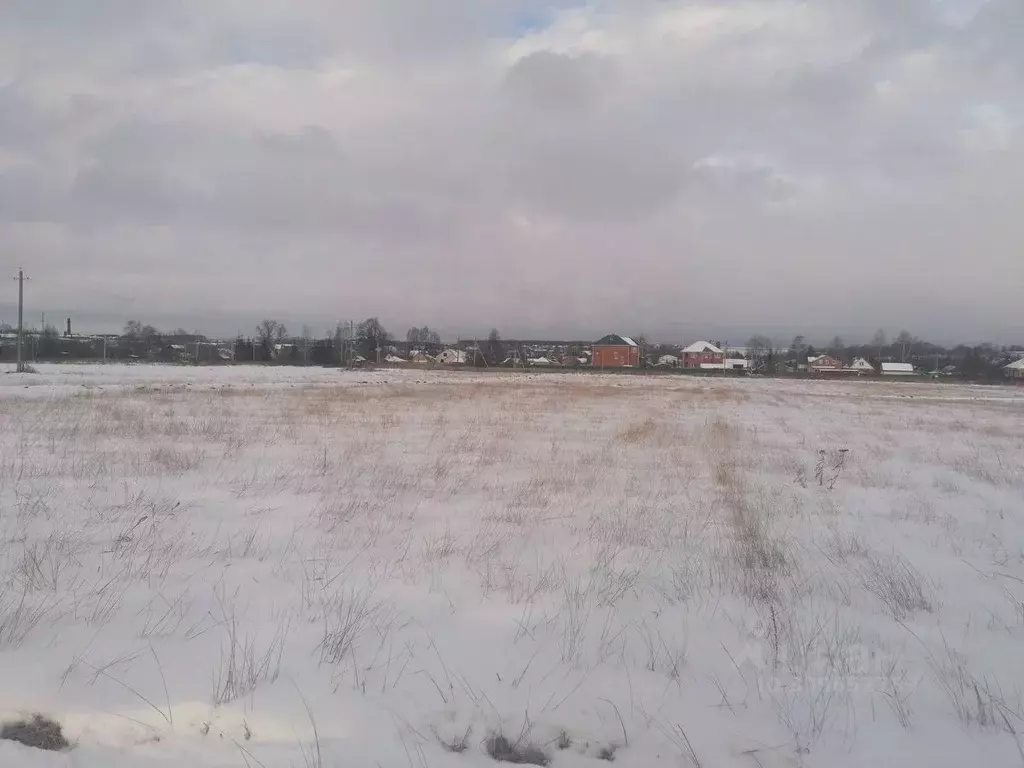 Участок в Московская область, Раменский городской округ, с. Давыдово  ... - Фото 0