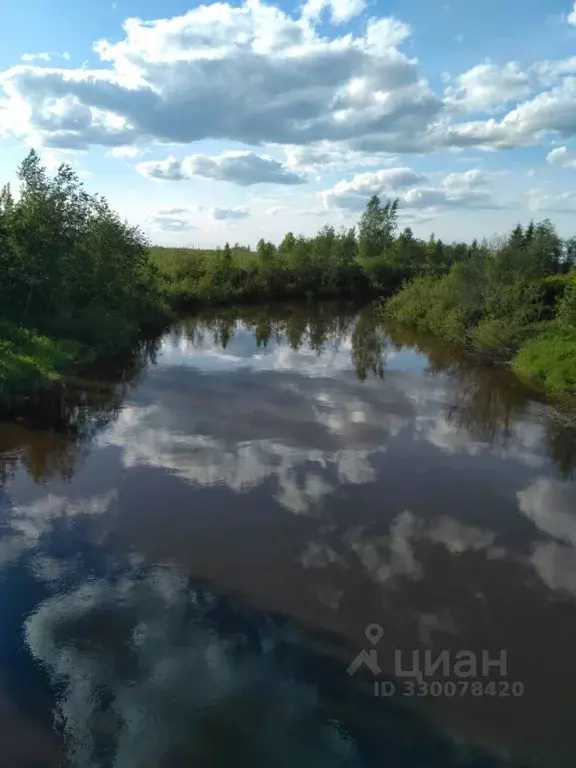 Участок в Ленинградская область, Тосно г. Тосненский район, Тосненское ... - Фото 1