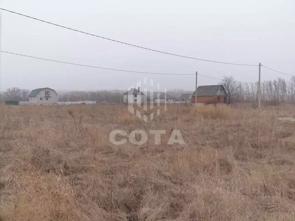 Участок в Воронежская область, Хохольское городское поселение, с. ... - Фото 1