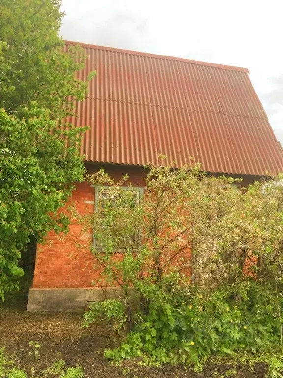 Участок в Омская область, Омск СНТ Ромашка ТСН, аллея 13-я, 25 (4.92 ... - Фото 2