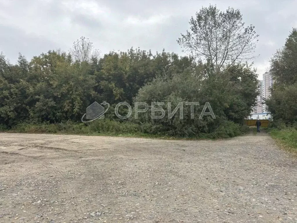 Участок в Тюменская область, Тюменский муниципальный округ, с. ... - Фото 1