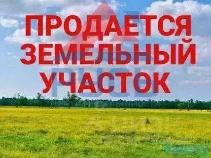 Участок в Челябинская область, Коркино ул. Пожарского, 4 (8.0 сот.) - Фото 0