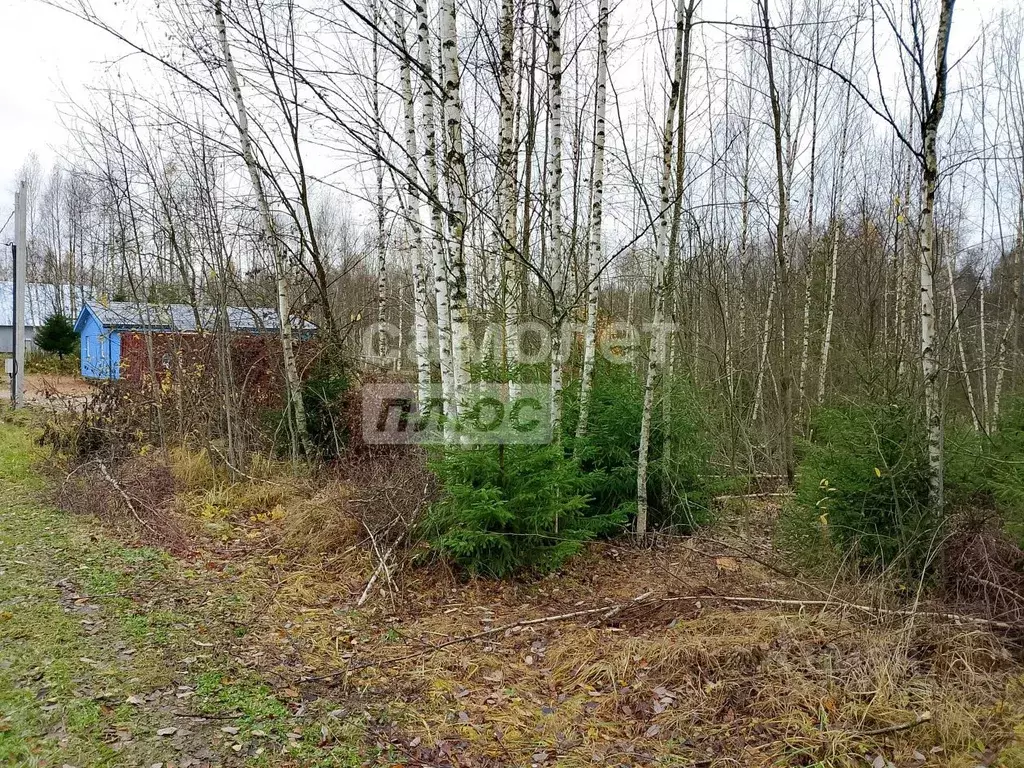 Участок в Московская область, Солнечногорск городской округ, Костино ... - Фото 1