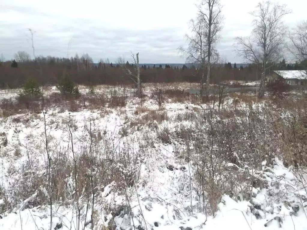 Участок в Вологодская область, Великоустюгский муниципальный округ, д. ... - Фото 1
