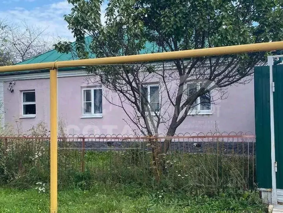 Дом в Воронежская область, с. Новая Усмань ул. Луговая, 61 (60 м) - Фото 2