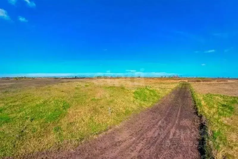 Участок в Ставропольский край, Шпаковский муниципальный округ, с. ... - Фото 1