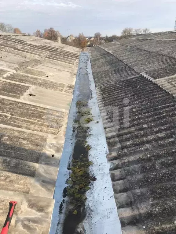 Склад в Брянская область, Погар рп ул. Вишневая, 1 (2800 м) - Фото 2