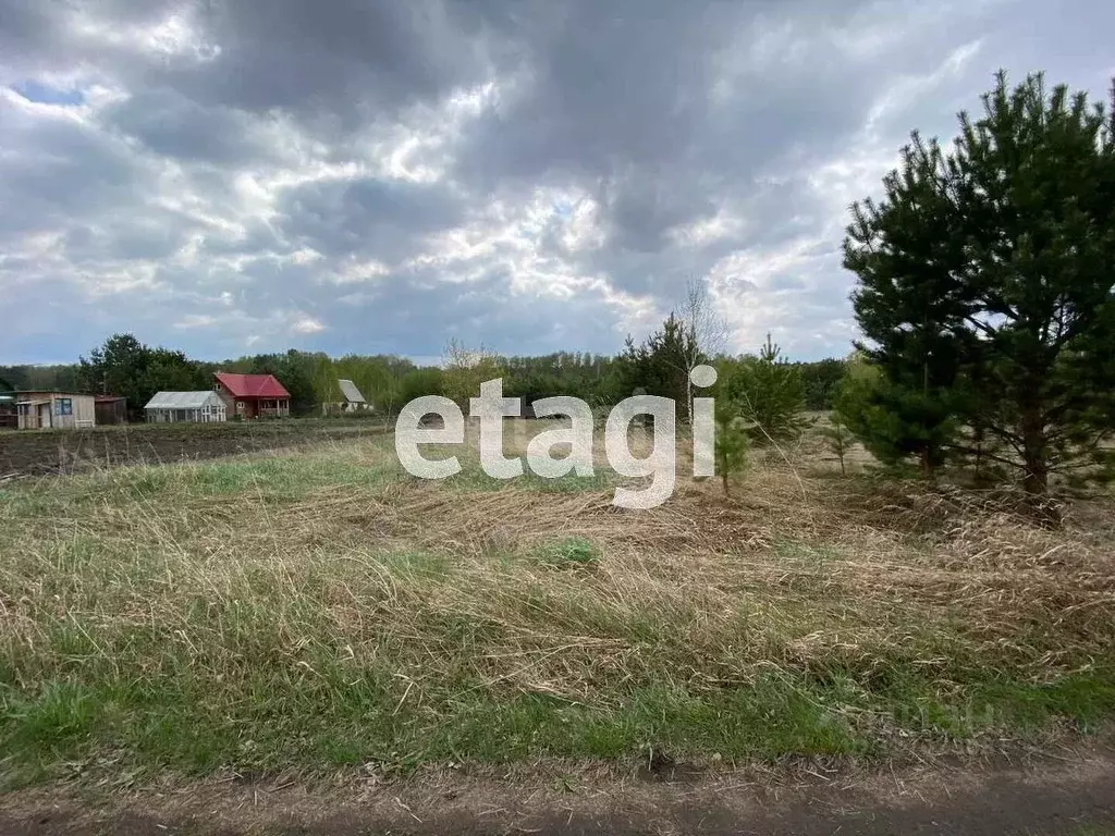 Участок в Новосибирская область, Ордынский район, д. Ерестная Боровая ... - Фото 1