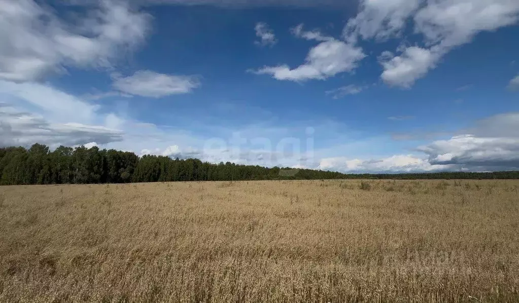Участок в Нижегородская область, Сокольский муниципальный округ, д. ... - Фото 1