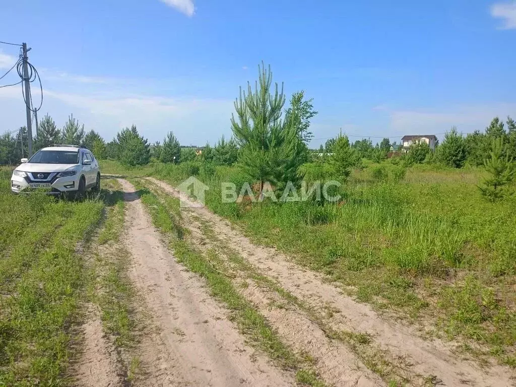 Участок в Владимирская область, Суздальский район, Боголюбовское ... - Фото 1