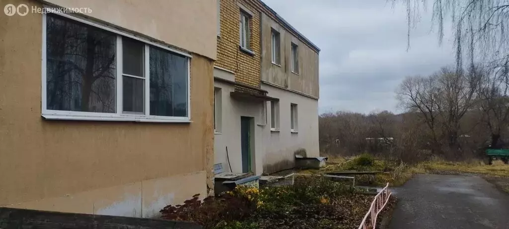 1-комнатная квартира: село Степановка, Совхозная улица, 7 (30 м) - Фото 2