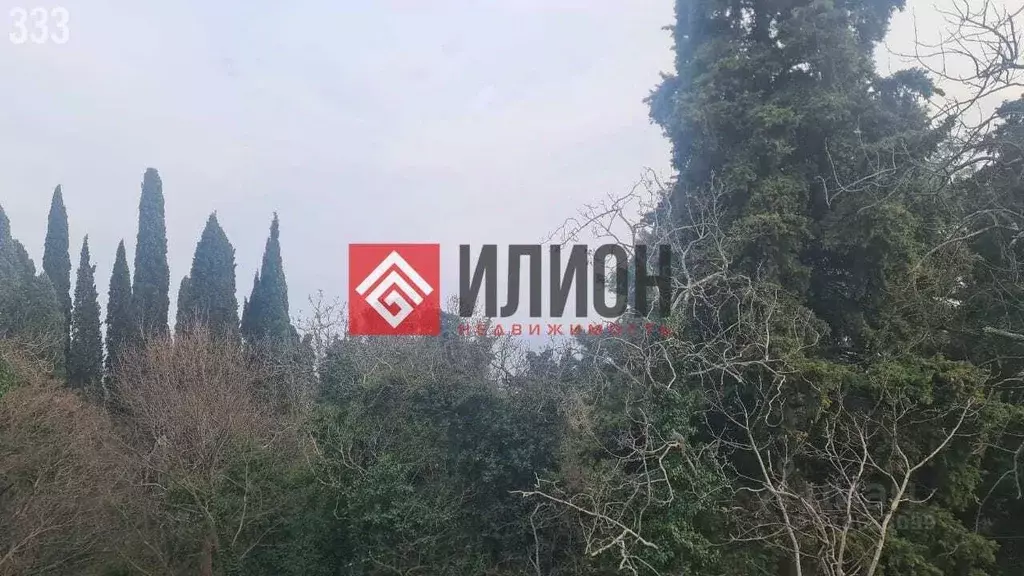 Участок в Крым, Ялта муниципальный округ, Восход пгт ул. Ясная, 16 ... - Фото 1