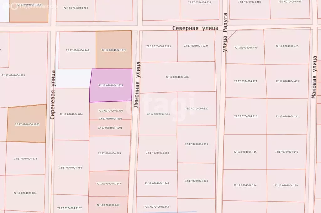 Участок в Тюмень, садовое товарищество Якорь, Светлая улица (8 м) - Фото 1